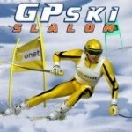 Картинка GP Ski Slalom